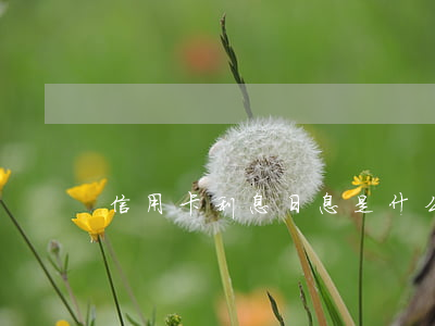 信用卡利息日息是什么(銀行卡信用卡利息)