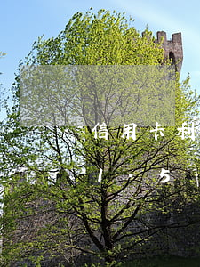 信用卡利息是1.5嗎怎么算（信用卡利息是1.5嗎）