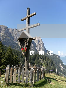 信用卡利息是五厘吗(信用卡5w利息多少钱)