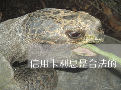 信用卡利息是合法的嗎