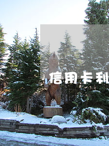 信用卡利息是多少一年