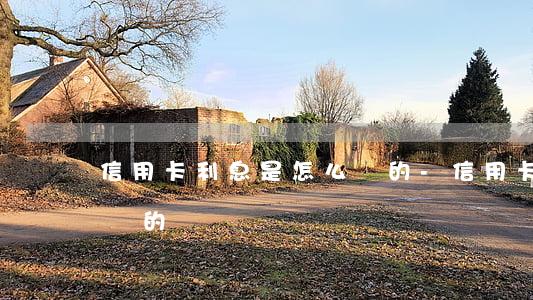 信用卡利息是怎么長的-信用卡利息是怎么長的