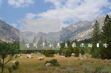信用卡利息是最低的嗎(啥信用卡利息最低)
