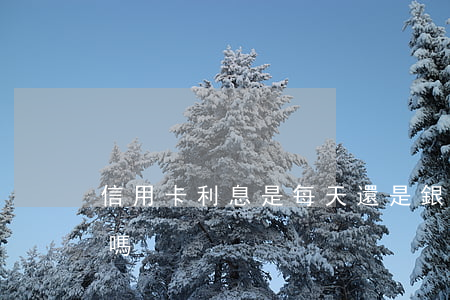 信用卡利息是每天還是(銀行的信用卡利息高嗎)