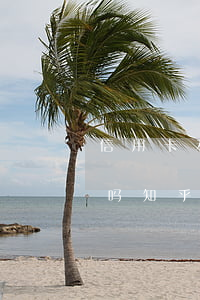 信用卡利息是违法的吗(信用卡利息是违法的吗知乎)