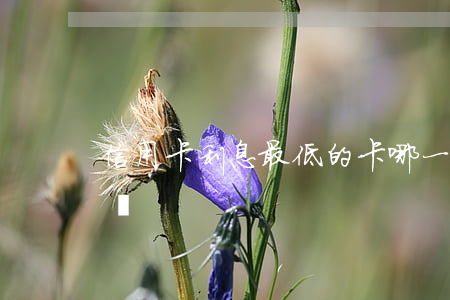 信用卡利息最低的卡(哪一家信用卡利息低一點)