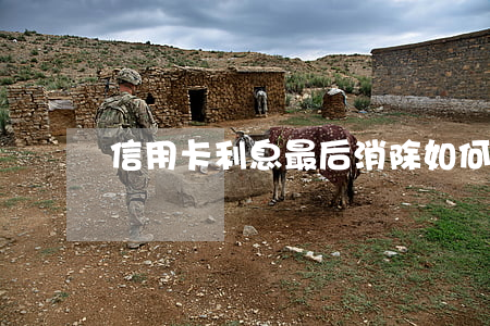信用卡利息最后消除 如何將信用卡利息減少