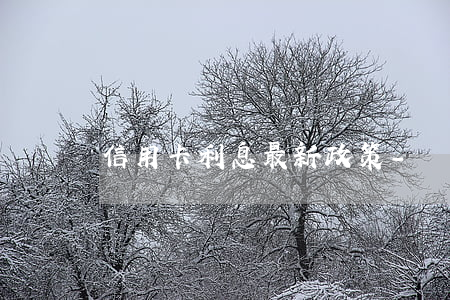 信用卡利息最新政策-銀行卡信用卡利率