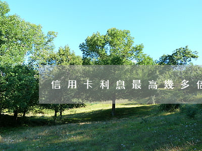 信用卡利息最高幾多倍(銀行卡信用卡利息)