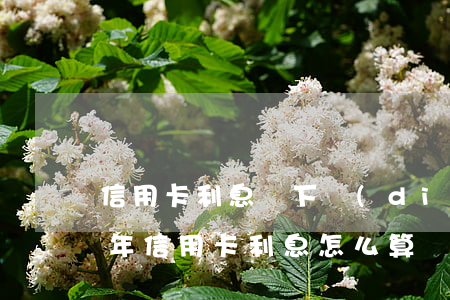 信用卡利息會下調(diào)嗎(2021年信用卡利息怎么算)
