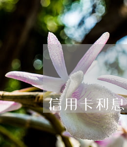 信用卡利息案例(信用卡利息案例分享)