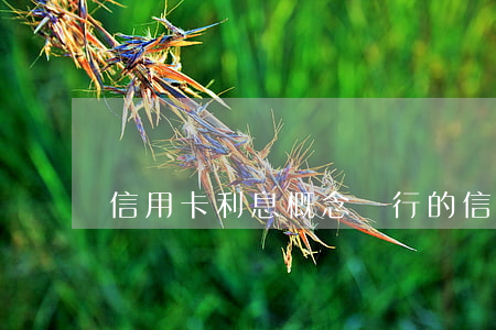 信用卡利息概念(銀行的信用卡利息)