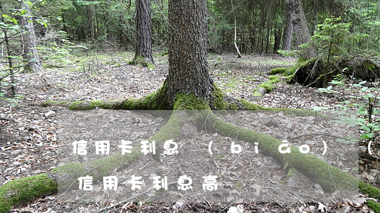信用卡利息標(biāo)準(zhǔn)(信用卡利息高嗎)