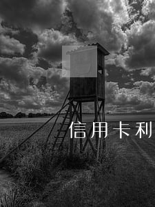 信用卡利息標準怎么計算(行用卡利息怎么算)