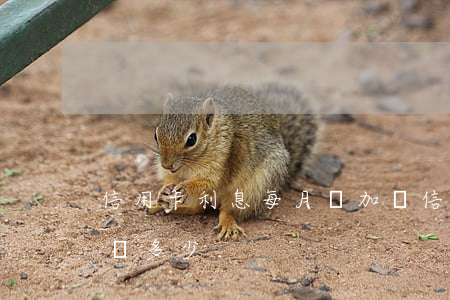 信用卡利息每月疊加嗎 信用卡利息每月疊加嗎多少