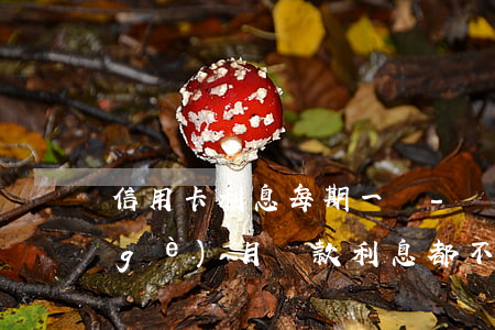 信用卡利息每期一漲-為什么信用卡每個(gè)月還款利息都不一樣