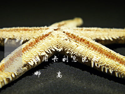 信用卡利息比余額寶(銀行利息和信用卡利息哪個高)