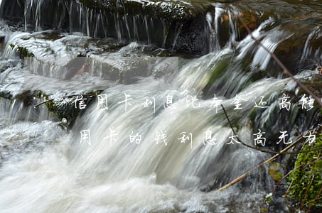 信用卡利息比本金还高能协商还款吗-欠信用卡的钱利息太高无力偿还怎么办