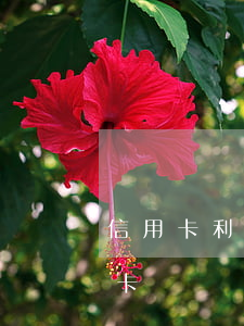 信用卡利息減免我愛卡（信用卡利息減免我愛卡）