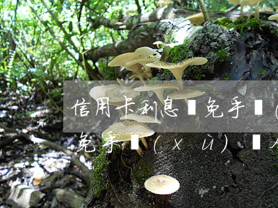 信用卡利息減免手續(xù)(信用卡利息減免手續(xù)費合法嗎)