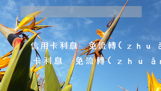 信用卡利息減免流轉(zhuǎn)中(信用卡利息減免流轉(zhuǎn)中什么意思)