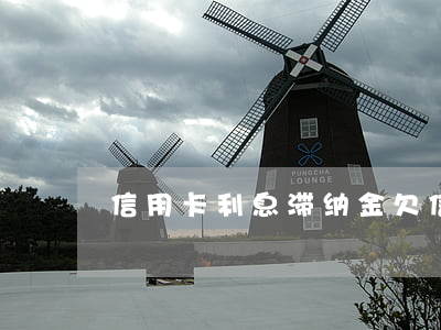 信用卡 利息 滞纳金（欠信用卡滞纳金收多久）