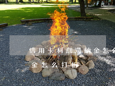 信用卡利息滯納金怎么打折(信用卡利息滯納金怎么打折)