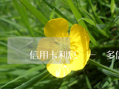 信用卡利息漲一萬多(信用卡1萬利息)