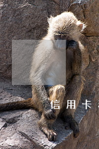 信用卡利息特高(信用卡 實際利率)