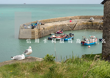 信用卡利息特高(為什么信用卡利息越來越高)