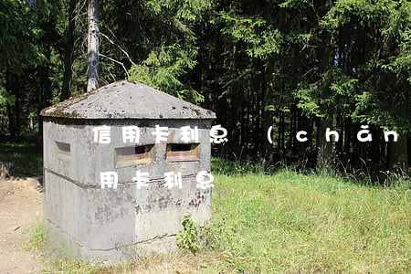 信用卡利息產(chǎn)生原因 銀行的信用卡利息