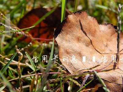 信用卡利息瘋漲 信用卡利息瘋漲