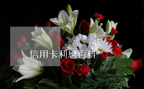信用卡利息百科