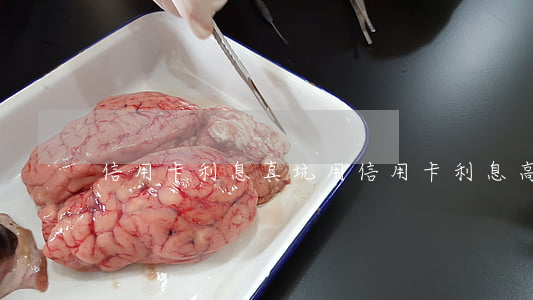 信用卡利息真坑(用信用卡利息高嗎)