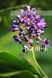 信用卡利息算在余額(信用卡 存錢 利息)