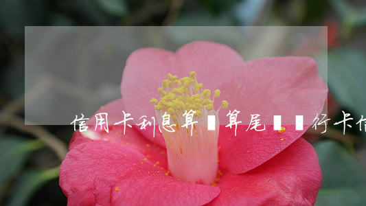 信用卡利息算頭算尾嗎(銀行卡信用卡利息)
