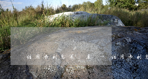 信用卡利息算額度嗎-信用卡利息算額度嗎
