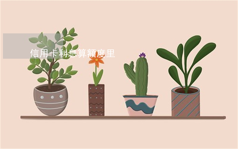 信用卡利息算額度里