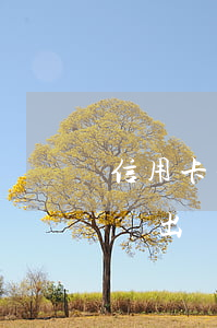 信用卡利息能免(信用卡利息免了注銷了怎么還出賬單)