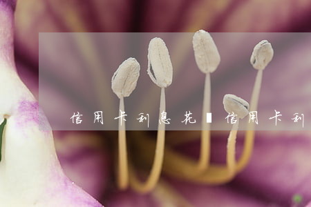 信用卡利息花唄 信用卡利息花唄利息