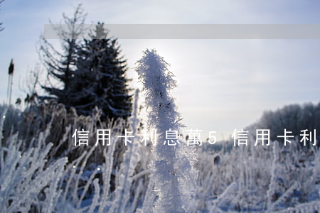 信用卡利息萬5 信用卡利息萬幾