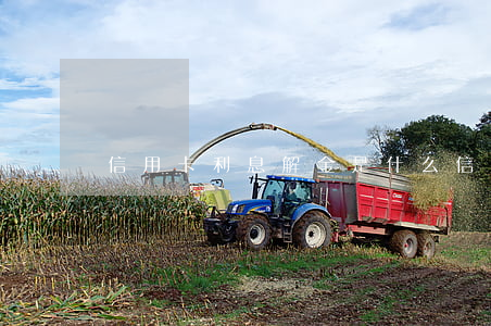 信用卡利息解金是什么(信用卡 利息交易)