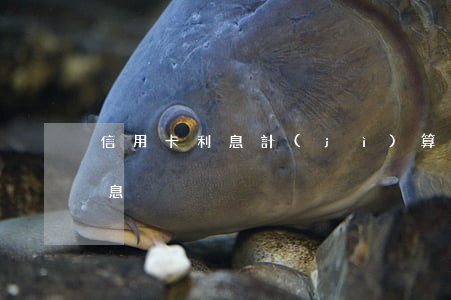 信用卡利息計(jì)算公式6(信用用卡利息)