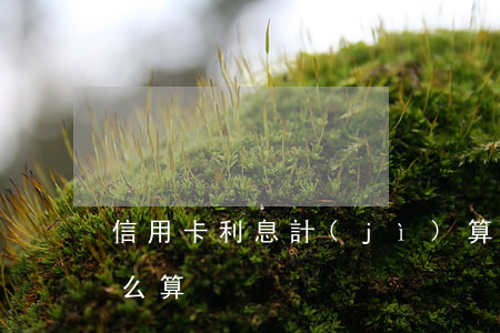 信用卡利息計(jì)算公式(行用卡利息怎么算)