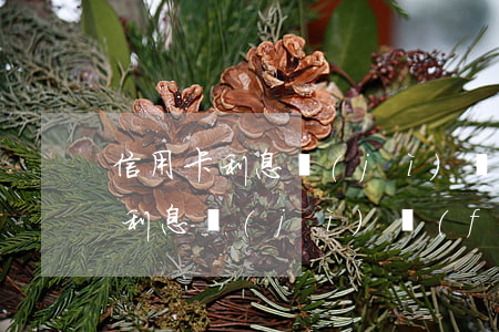 信用卡利息計(jì)費(fèi)(信用卡利息計(jì)費(fèi)規(guī)則)