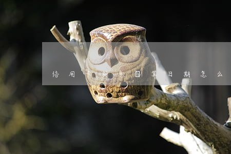 信用卡利息計算日期 怎么算信用卡的年利率