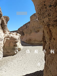 信用卡利息計算糾紛(欠信用卡的錢利息太高無力償還怎么辦)