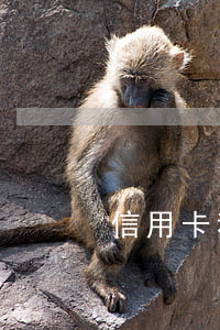 信用卡利息記賬(信用卡利息記賬方法)