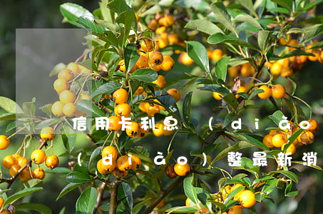 信用卡利息調(diào)整(信用卡利息調(diào)整最新消息)