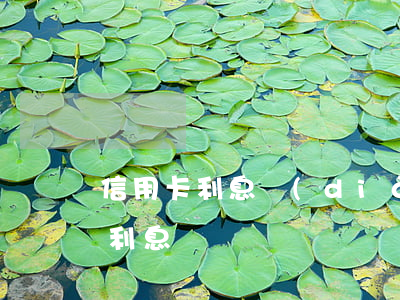 信用卡利息調(diào)整退息(信用卡 退利息)